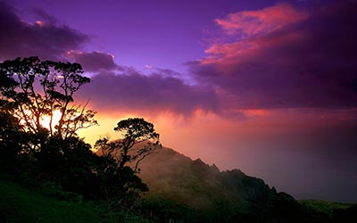 Hawaii_-_Na_Pali_Coast,_Kauai_400x250